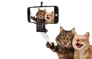 SelfieCats