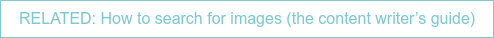 RELATED: How to search for images (the content writer’s guide)